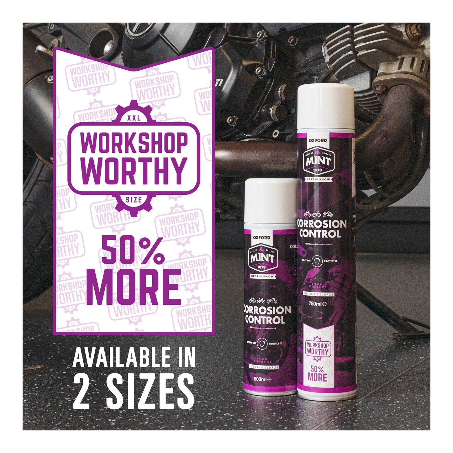 Oxford Mint Corrosion Control - 500ml