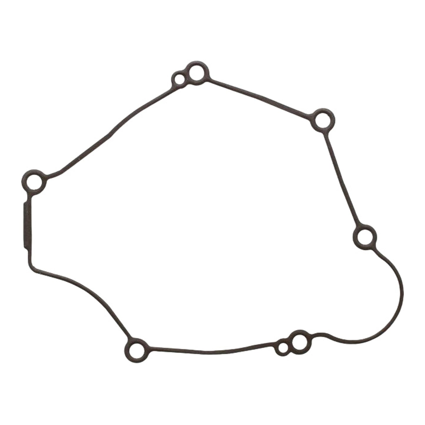 Ignition Cover Gasket Kit 816845