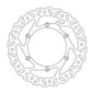 BRAKE DISC FRONT MOTO MASTER NITRO 260MM GAS GAS HONDA HUSABERG HUSQVARNA KAWASAKI KTM SHERCO SUZUKI