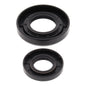 Crankshaft Seal Kit (24-2017)