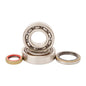 Main Bearing and Seal Kit