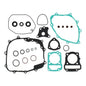 Complete Gasket Set with Oil Seals 8110043