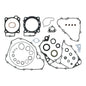 Complete Gasket Set with Oil Seals 8110068