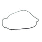 Outer Clutch Gasket Kit 817987