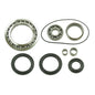Whites Differential Seal Kit