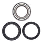 Whites Wheel Bearing Kit