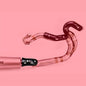 AKRAPOVIC Heat Shield CA