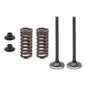 EXHAUST VALVE KIT PSYCHIC MX INCLUDES 2 VALVES, 2 SPRINGS, RETAINERS & SEATS