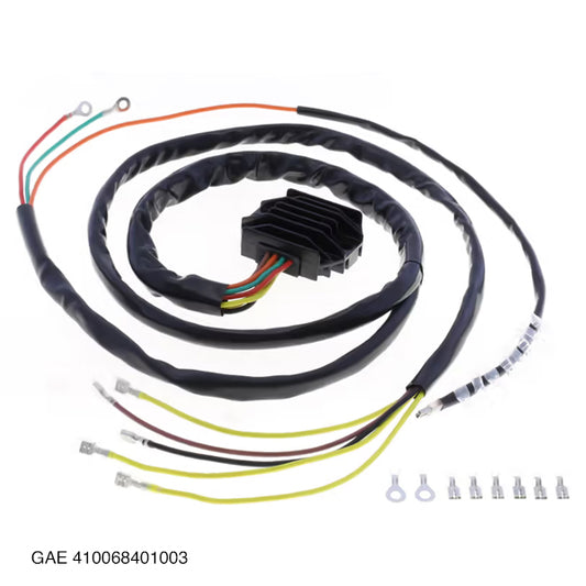 GAE 410068401003