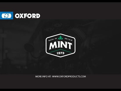 Oxford Mint - Helmet & Visor Cleaner (250ml)